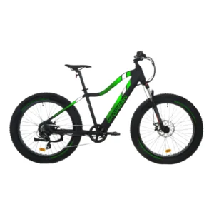 Doc Green Fatbike E-Bike